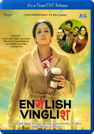 English Vinglish 2012 BluRay 400MB Full Hindi Movie Download 480p Watch Online Free HDMovies4u