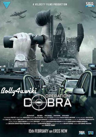 Operation Cobra 2019 WEB-DL 2GB Complete Web Series Hindi 720p Download