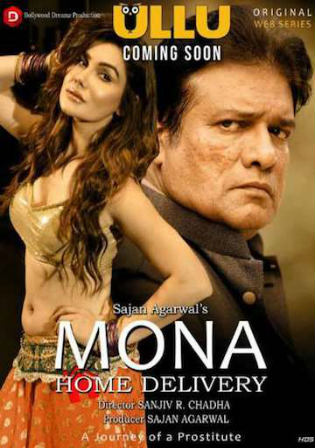 Mona Home Delivery 2019 WEB-DL Hindi Complete Season 01 Download 720p
