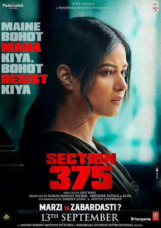 Section 375 (2019) 300Mb Full Hindi Movie Download 480p