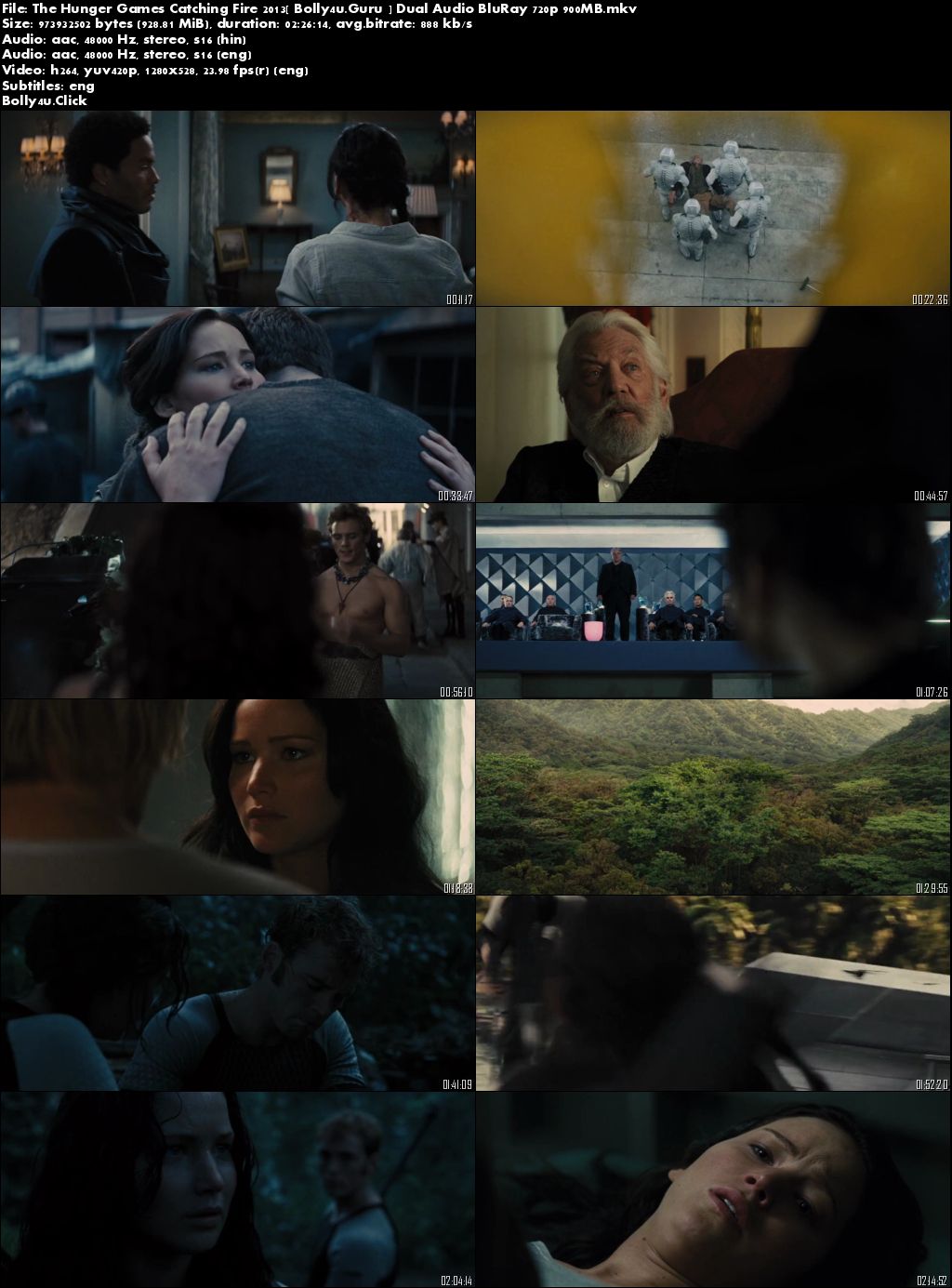 The Hunger Games Catching Fire 2013 BRRip 450Mb Hindi Dual Audio 480p Download