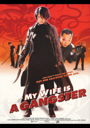 My Wife Is A Gangster 2001 BRRip 300Mb Hindi Dual Audio 480p