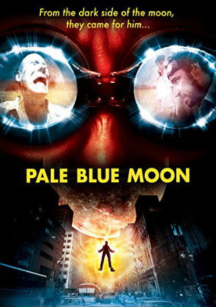 Pale Blue Moon 2002 WEBRip 300Mb Hindi Dual Audio 480p