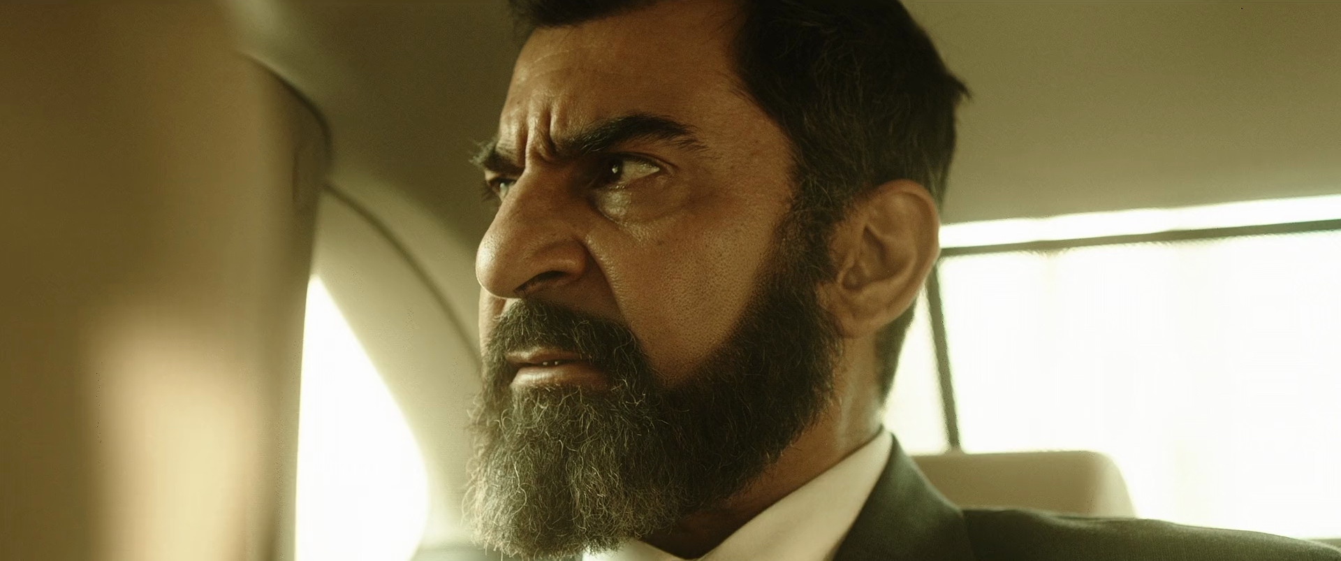 Download Sultan (2021) Telugu (English Subs) Movie WEB - DL