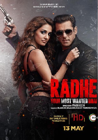 Radhe 2021 WEB-DL 1.1Gb Hindi Movie Download 720p Watch Online Free bolly4u