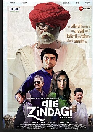 Waah Zindagi 2020 WEB-DL 300Mb Hindi Movie Download 480p