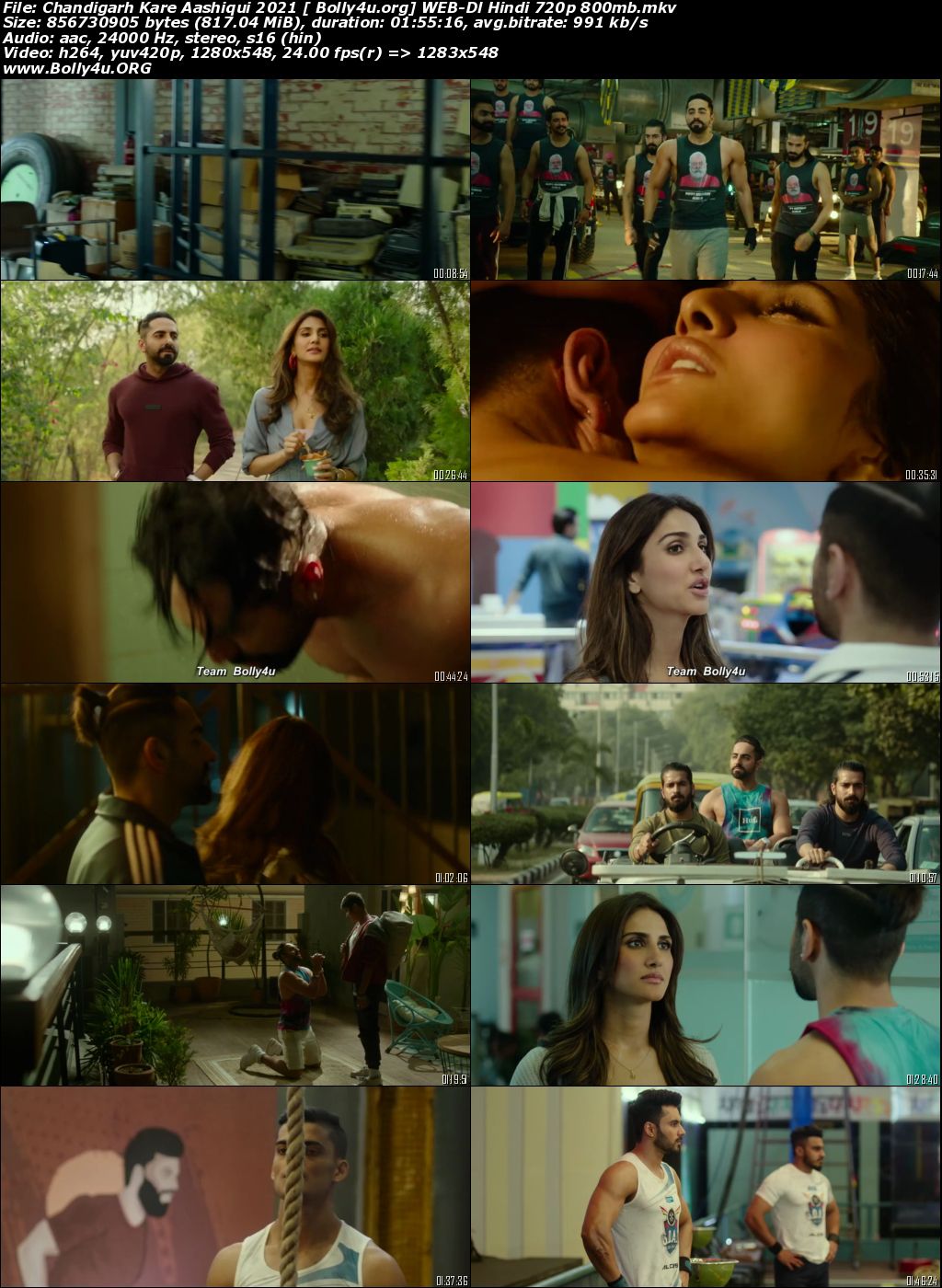 Chandigarh Kare Aashiqui 2021 WEB-DL 800Mb Hindi Movie Download 720p