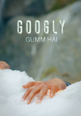 Googly Gumm Hai 2022 WEB-DL 250Mb Hindi Movie Download 480p