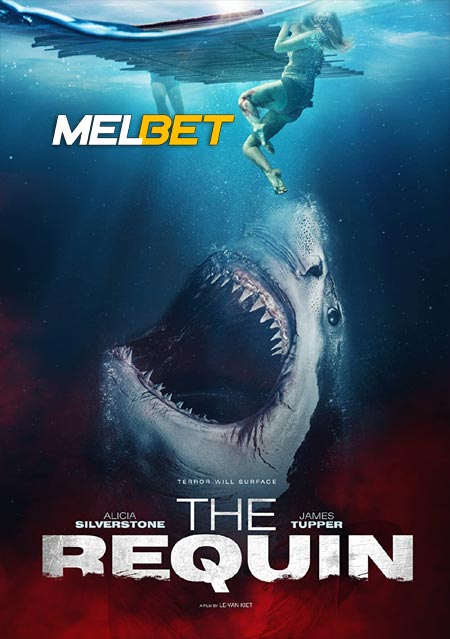 The Requin (2022) Hindi (Voice Over)-English WEB-HD x264 720p
