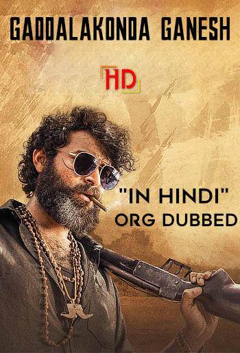 Gaddalakonda Ganesh (2019) WEB-DL [Hindi (ORG 2.0) & Telugu] 1080p 720p & 480p Dual Audio [x264/HEVC] HD | Full Movie