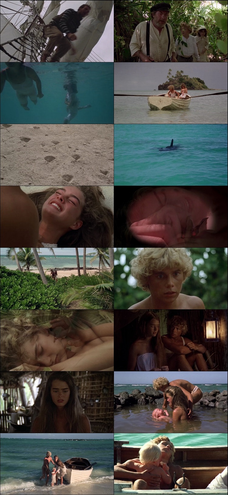  Screenshot Of The-Blue-Lagoon-1980-BluRay-Dual-Audio-Hindi-And-English-Hollywood-Hindi-Dubbed-Full-Movie-Download-In-Hd
