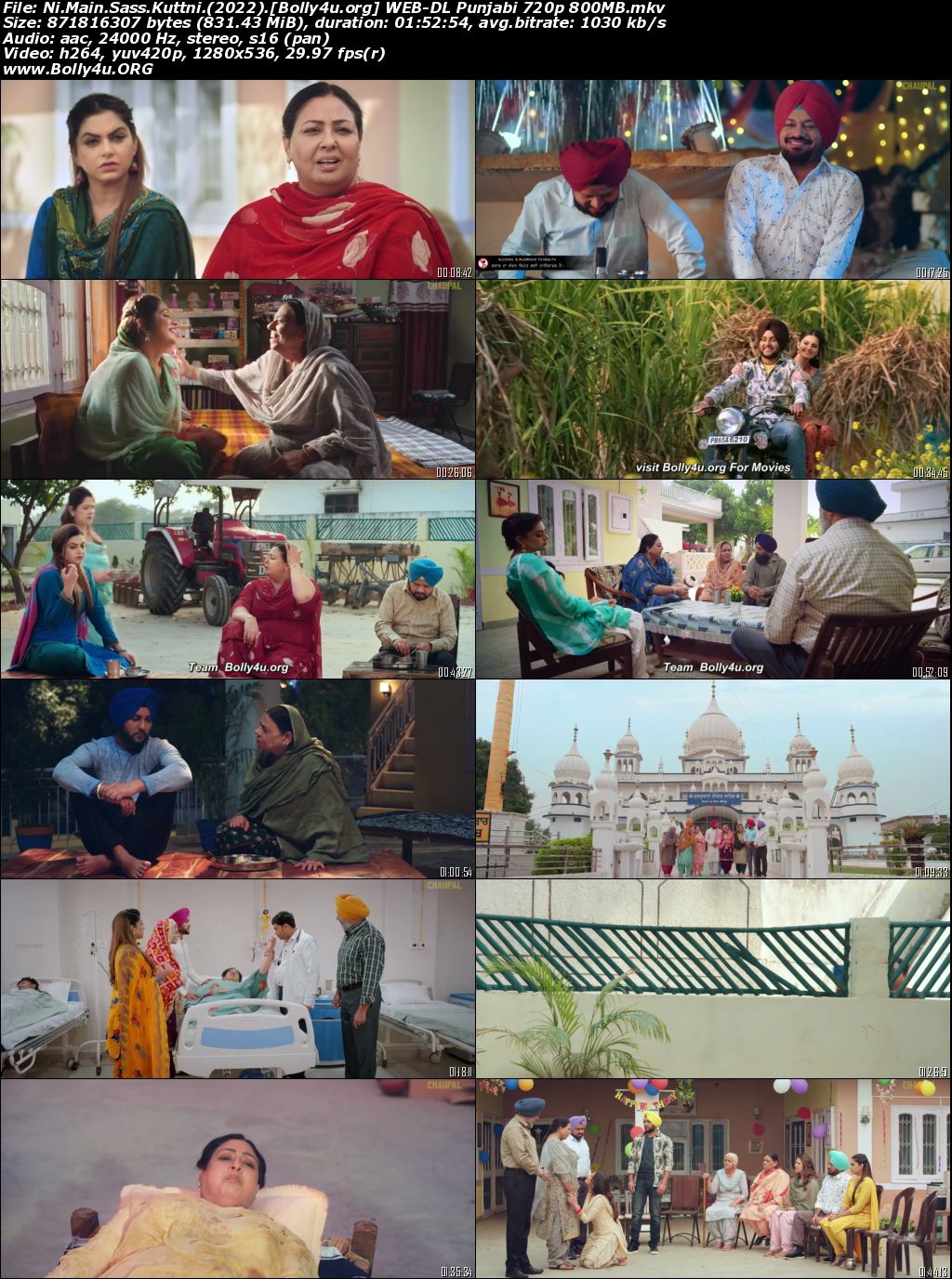 Ni Main Sass Kuttni 2022 WEB-DL Punjabi Movie 720p 480p Download