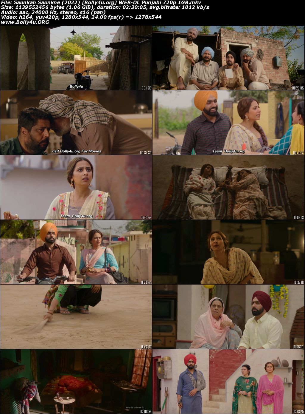Saunkan Saunkne 2022 WEB-DL Punjabi Movie Download
