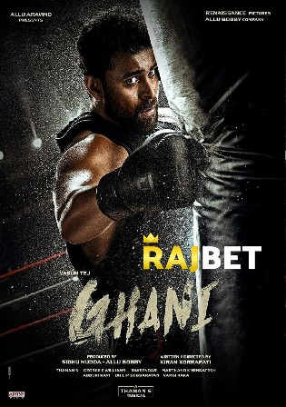Ghani 2022 WEBRip Hindi HQ Dubbed Full Movie Download 1080p 720p 480p