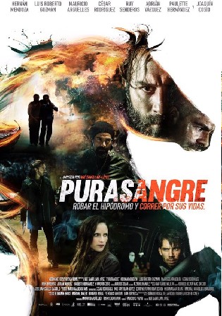 Purasangre 2016 BluRay Hindi Dual Audio Full Movie 720p 480p Download