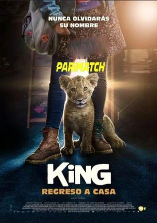 King 2022 WEB-HD 800MB Tamil (Voice Over) Dual Audio 720p