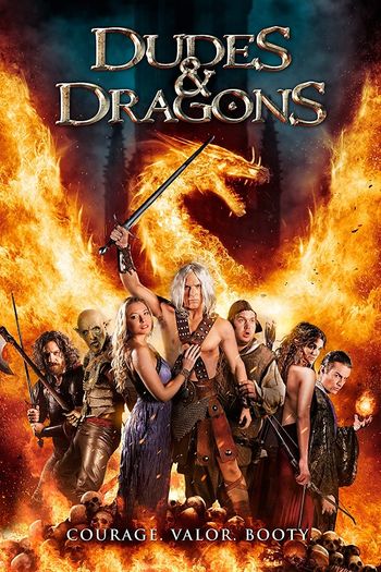 Dudes & Dragons 2015 Hindi Dual Audio Web-DL Full Movie 480p Free Download