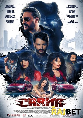 Carma 2022 CAMRip Urdu Full Movie Download 720p 480p