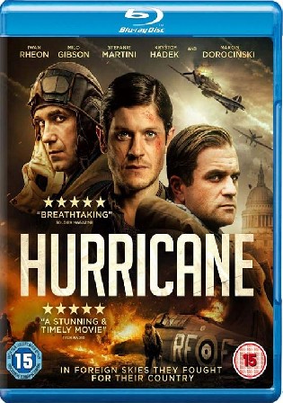Hurricane 2018 BluRay Hindi Dual Audio Full Movie Download 720p 480p