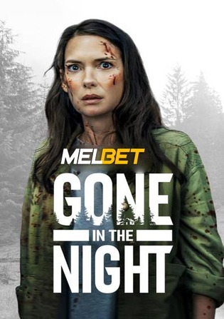 Gone in the Night 2022 WEB-Rip Hindi (Voice Over) Dual Audio 720p