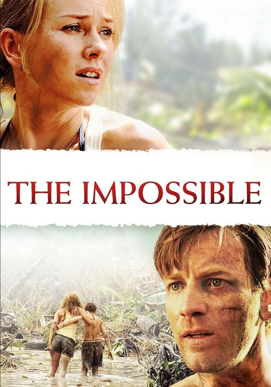 The Impossible 2012 Hindi Dual Audio BRRip Full Movie 480p Free Download
