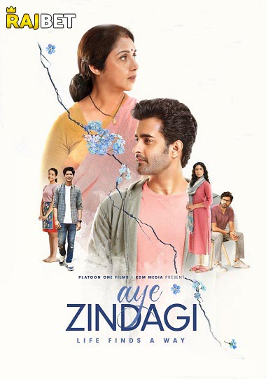 Aye Zindagi (2022) Pre DVDRip Urdu Full Movie  Download