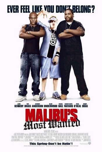 Malibu’s Most Wanted 2003 Hindi Dual Audio Web-DL Full Movie 480p Free Download