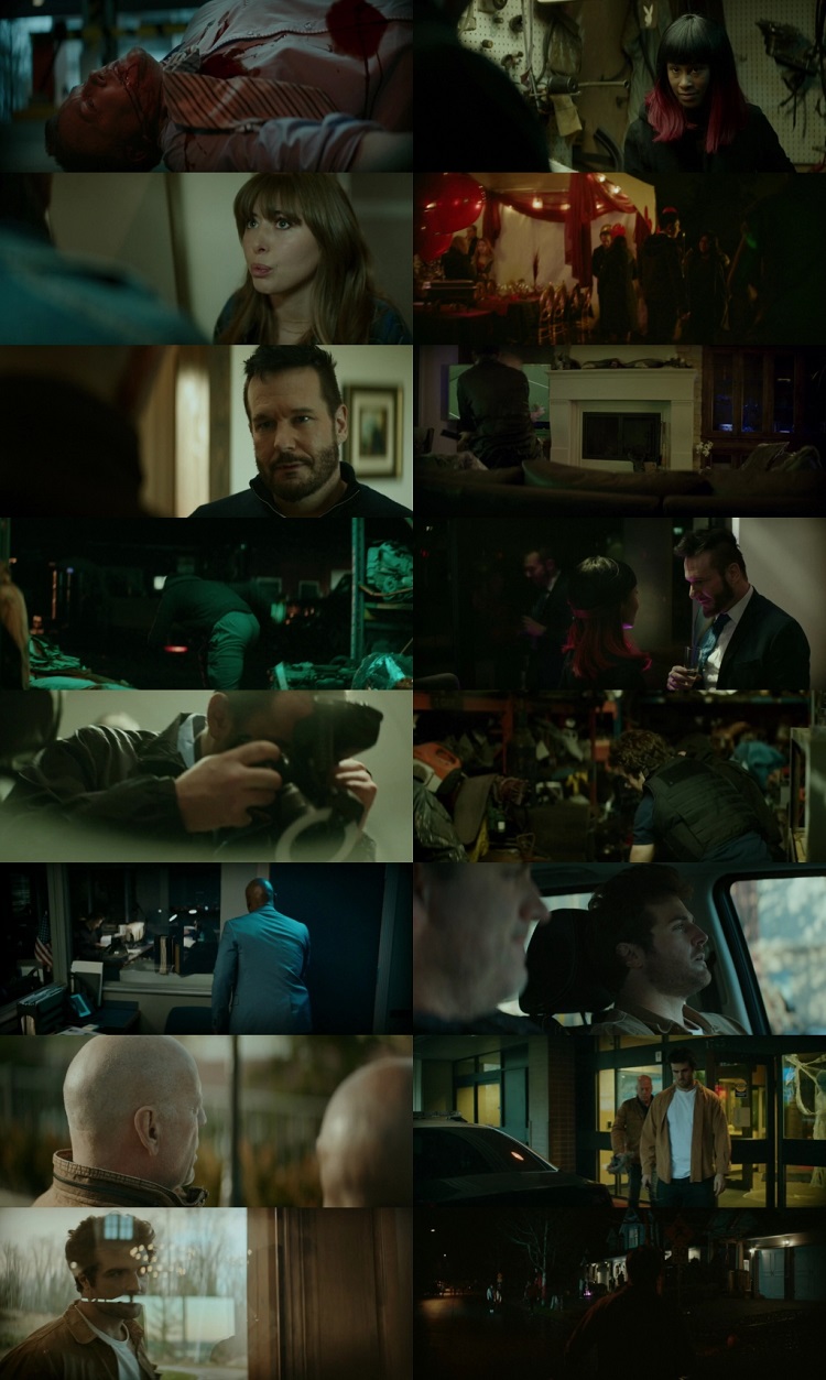 Detective Knight Rogue 2022 English 1080p 720p 480p Web-DL MSubs