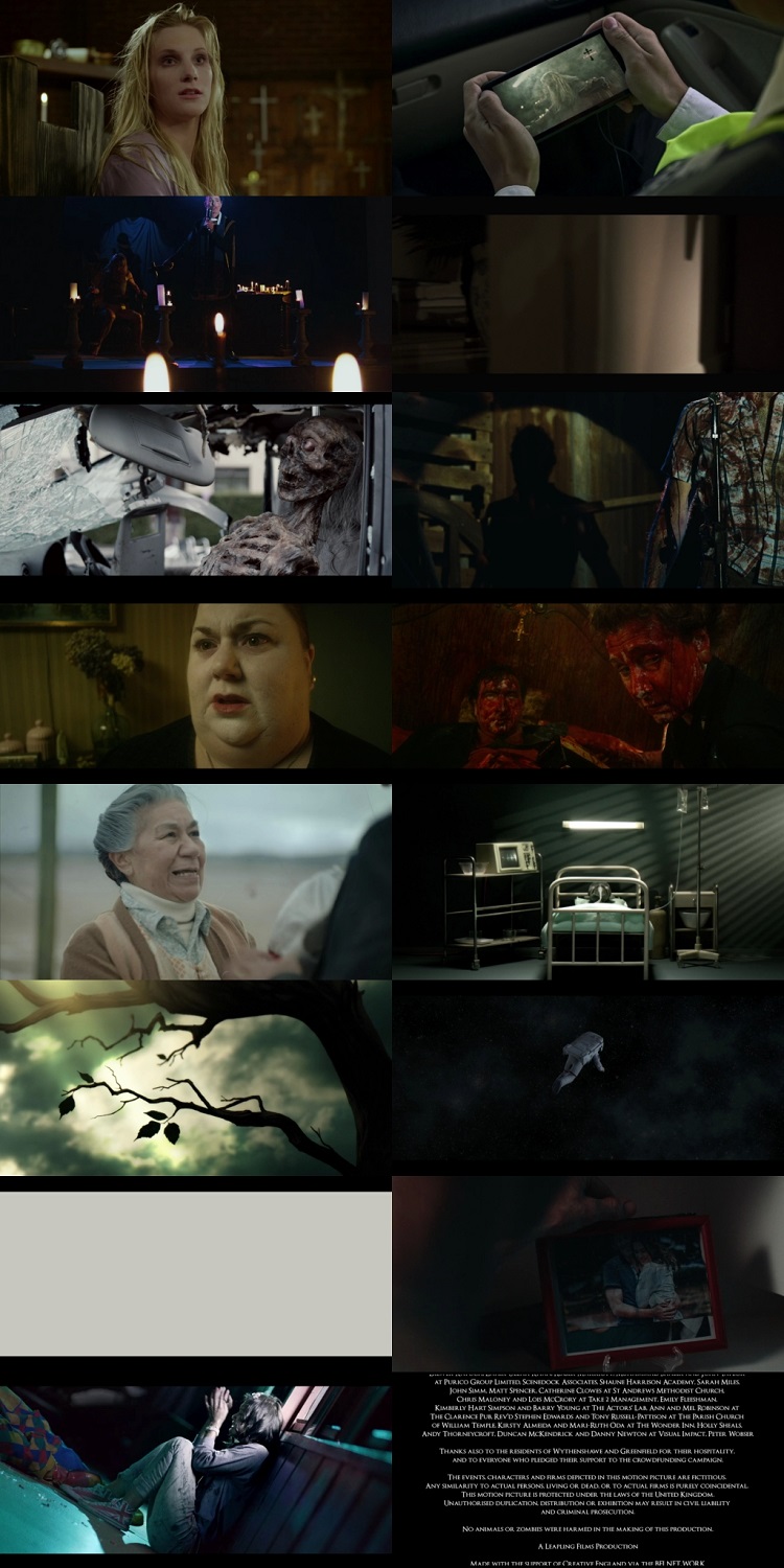 Asylum Twisted Horror… 2020 Hindi Dual Audio BRRip Full Movie 480p Free Download