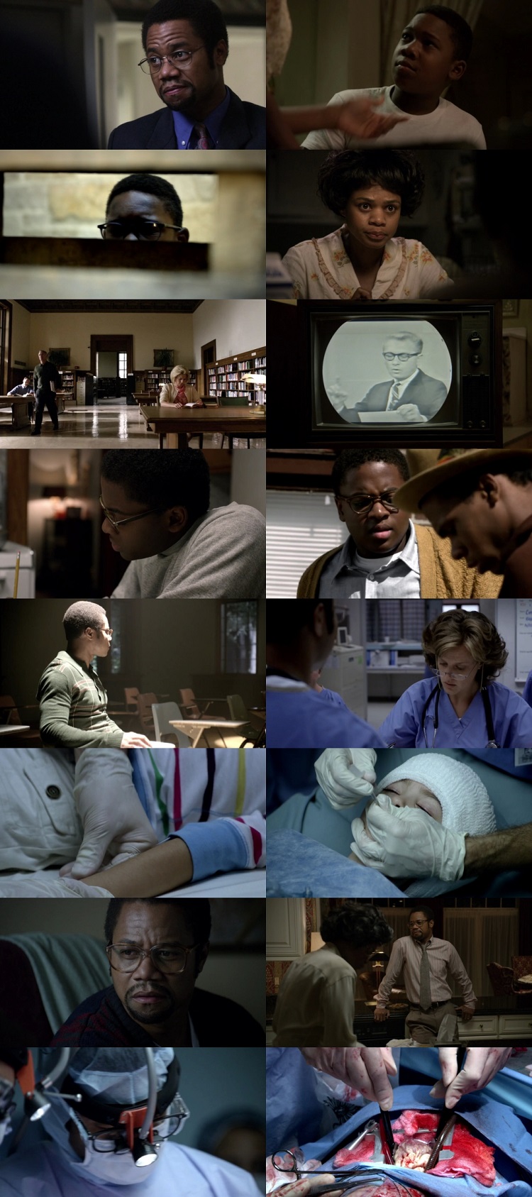 Gifted Hands The Ben Carson Story 2009 Hindi Dual Audio 1080p 720p 480p Web-DL ESubs HEVC