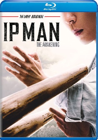 IP Man The Awakening 2021 BluRay Hindi Dual Audio Full Movie Download 1080p 720p 480p
