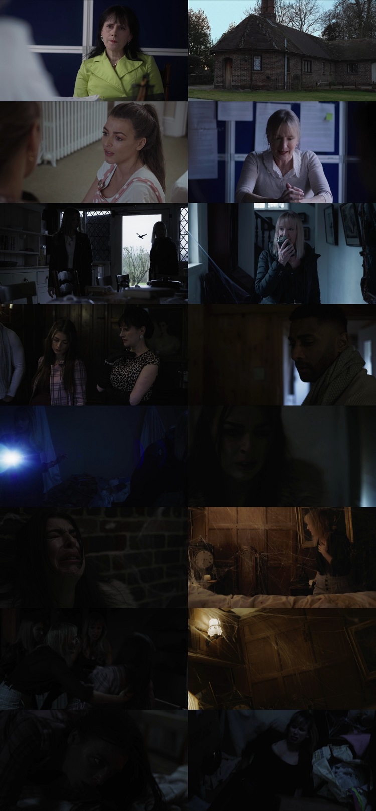 Spider in the Attic 2021Hindi Dual Audio 1080p 720p 480p Web-DL ESubs HEVC