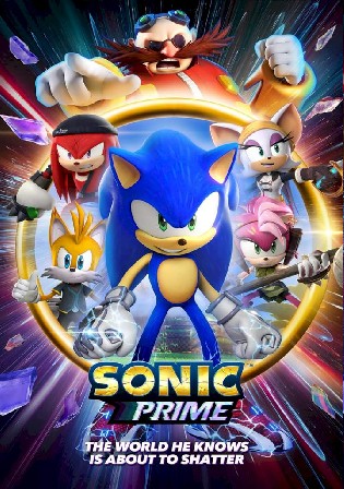 Sonic Prime 2022 WEB-DL Hindi Dual Audio ORG S01 Complete Download 720p 480p