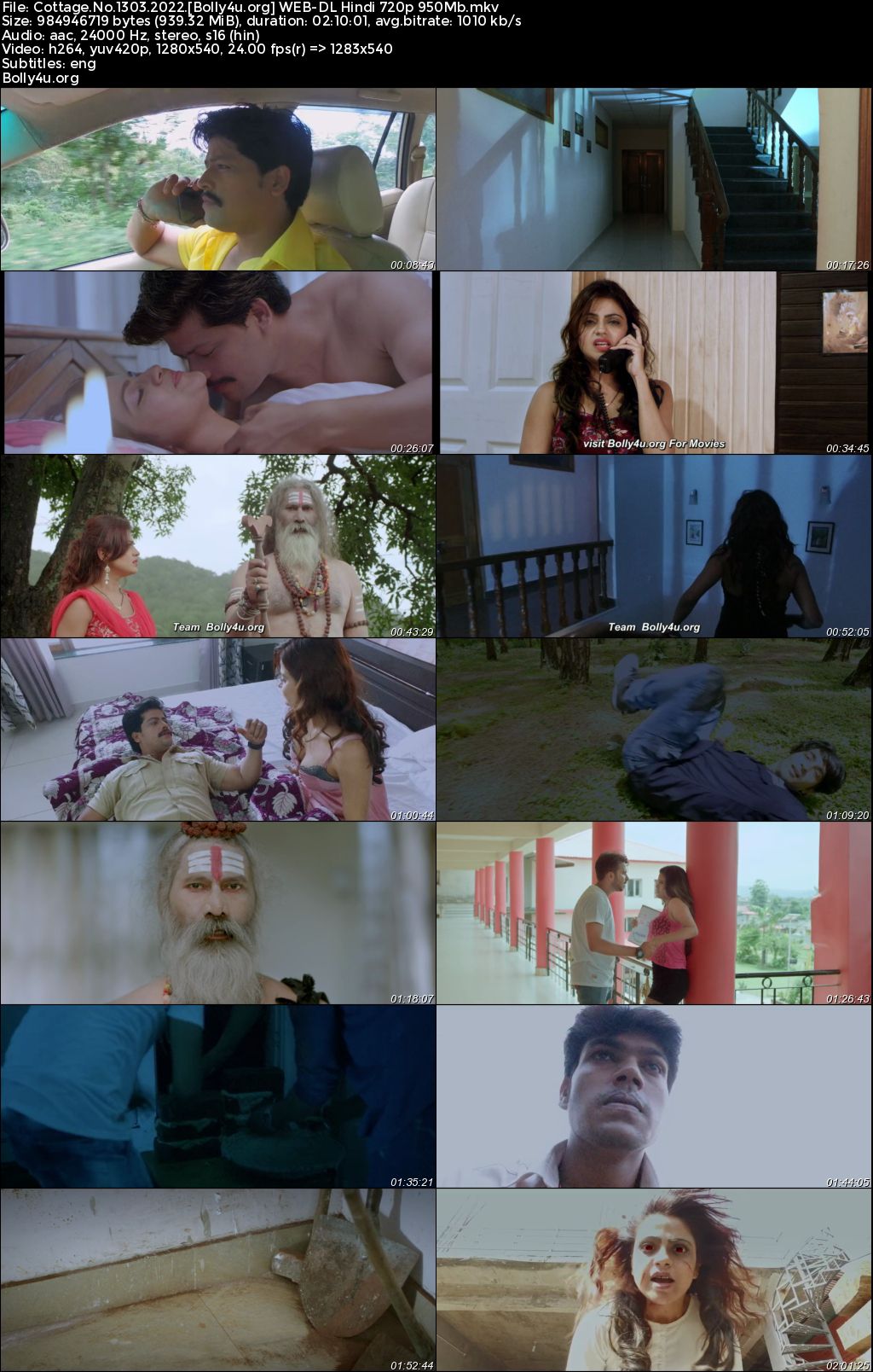 Cottage No 1303 2022 WEB-DL Hindi Full Movie Download 1080p 720p 480p