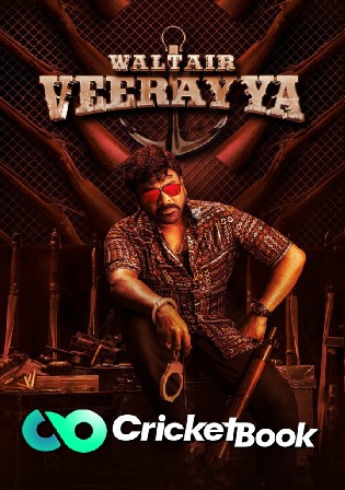 Waltair Veerayya 2023 Pre DVDRip Hindi Dubbed Full Movie Download 1080p 720p 480p