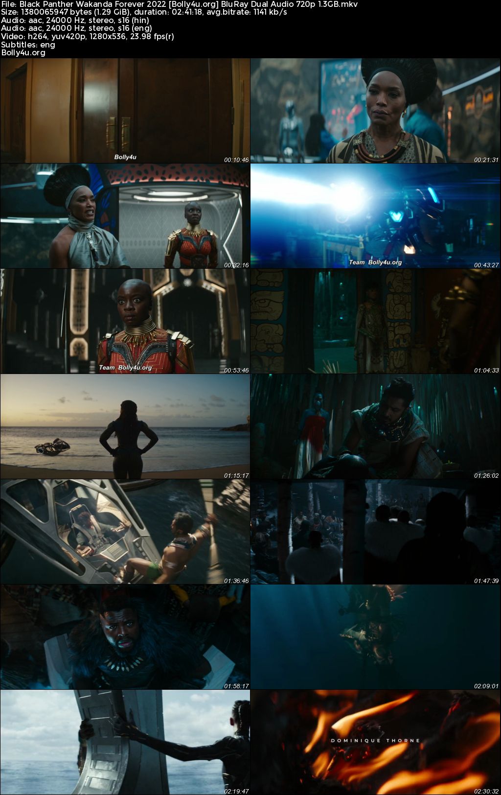 Black Panther Wakanda Forever 2022 BluRay Hindi Dual Audio ORG Full Movie Download 1080p 720p 480p