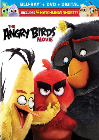 The Angry Birds Movie 2016 BluRay Hindi Dual Audio ORG Full Movie Download  1080p 720p 480p 
