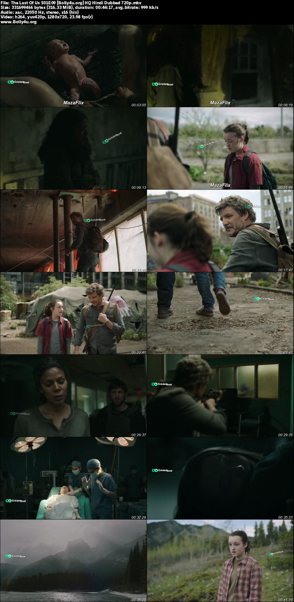 The Last of Us 2023 WEBRip Hindi HQ Dubbed S01 Complete Download 720p